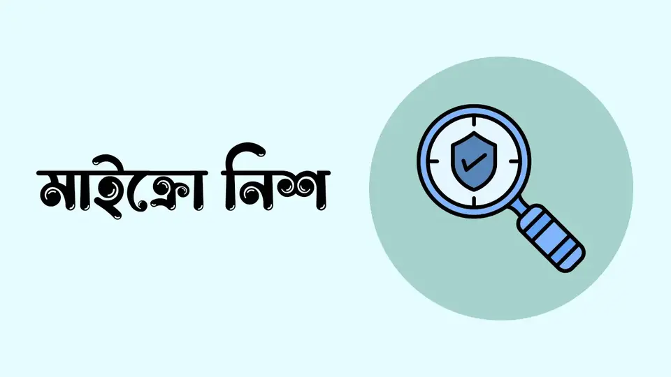 নিশ কি, নিশ কেন গুরুত্বপূর্ণ, নিশ আইডিয়া,