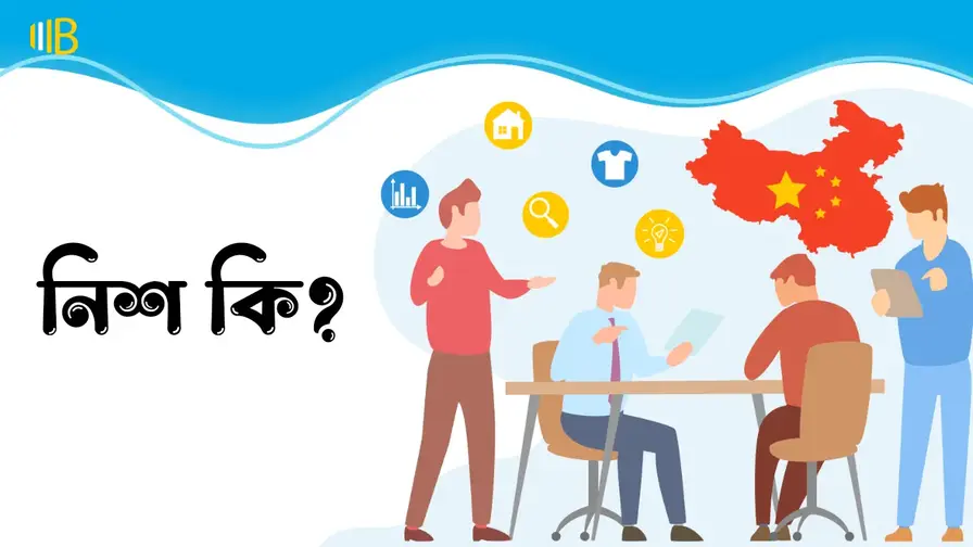 নিশ কি, নিশ কেন গুরুত্বপূর্ণ, নিশ আইডিয়া,